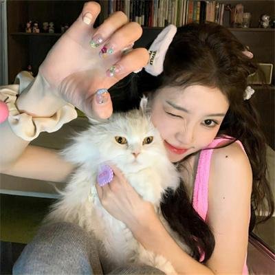 猫和粉茎